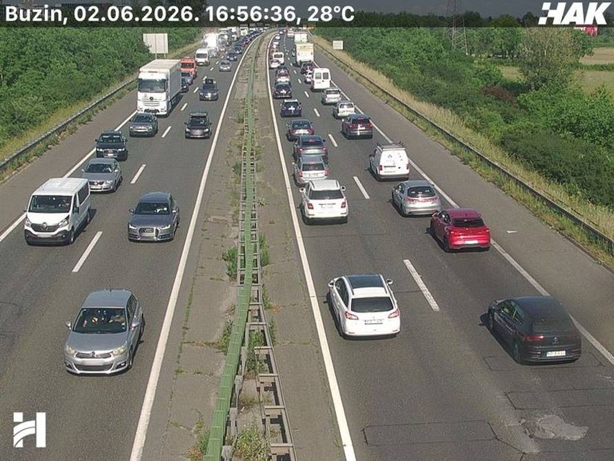 VIDEO Kolaps zbog svinja na obilaznici u Zagrebu, pokušat će ih uhvatiti. Kolona čak 7 km!
