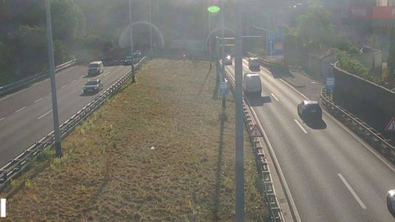 Pojačan promet in zastoji zaradi okvar vozil in živali na cestah