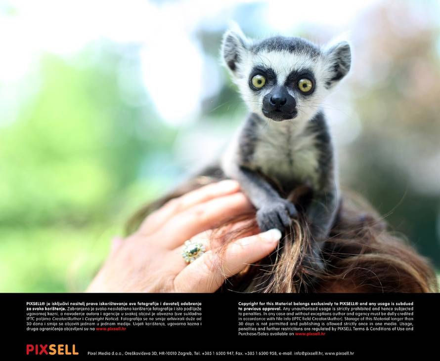 Petar Glebov/Pixsell