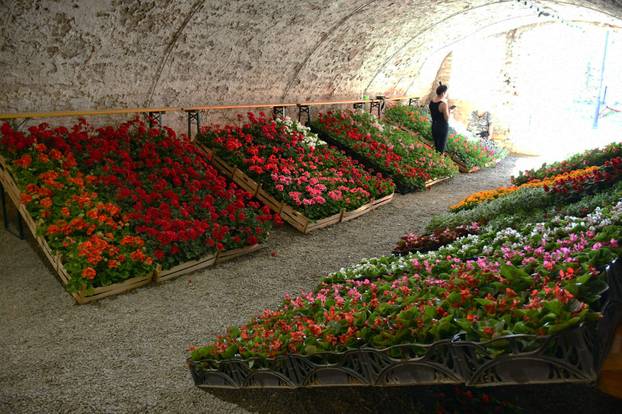 FOTO Sve je šareno i veselo! Brođane čeka sajam cvijeća