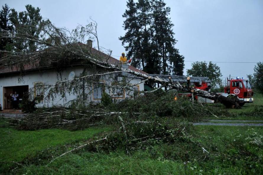 Duško Mirković/Pixsell