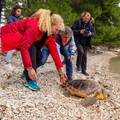 Martine i Ella, sretno vam more! Nakon mjeseci oporavka glavate želve opet na slobodi