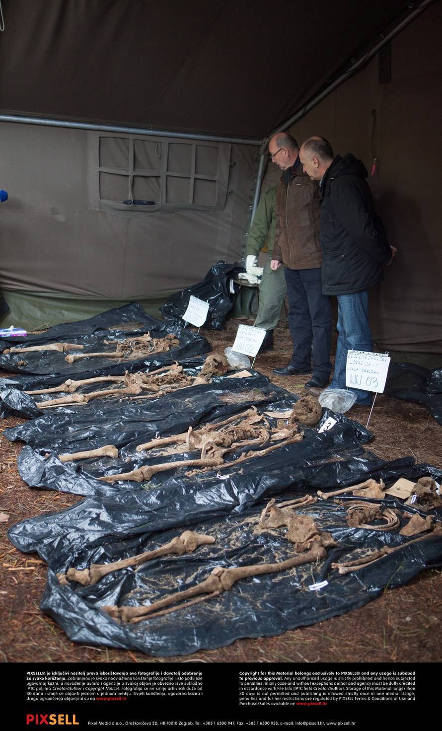 Grgo Jelavić/PIXSELL