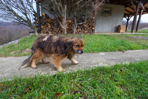 Ljubej Kalnički: Dan nakon stravičnog otkrića otkrivaju se detalji nezapamćenog zločina