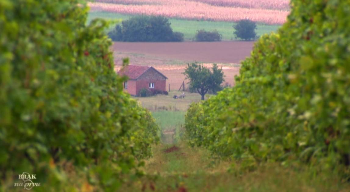 Adamova sestra je 'izrešetala' Nikolinu: Nije ona za mog brata