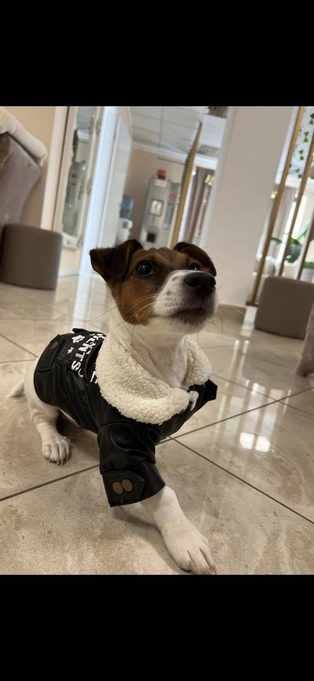 SUPER FOTKE vaših ljubimaca! Neki bi mogli biti viralni hit, ali svi su jednostavno neodoljivi