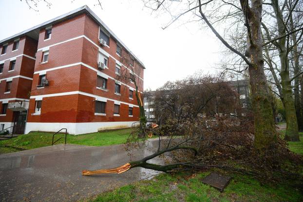 Zagreb: Jak olujni vjetar polomio stabla i grane na Jarunu