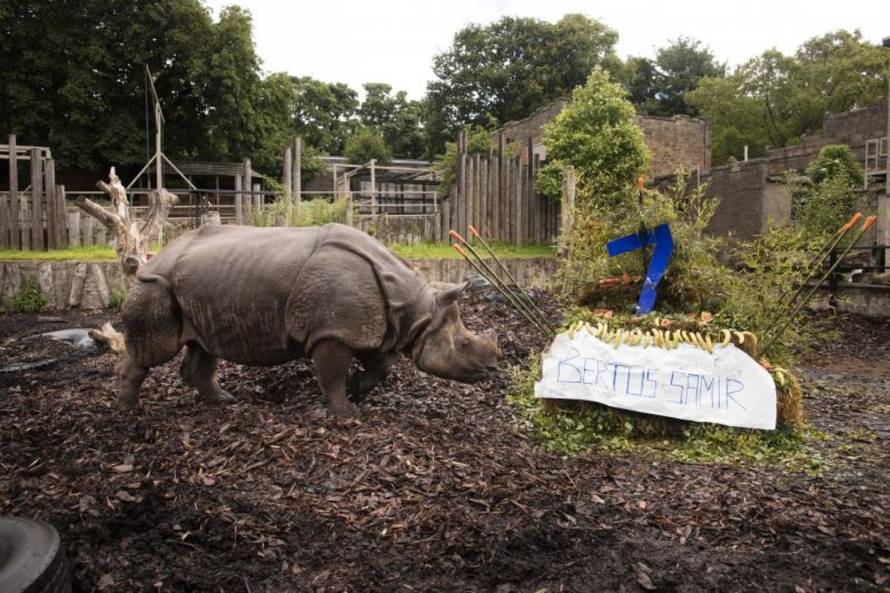 News Syndication/PIXSELL