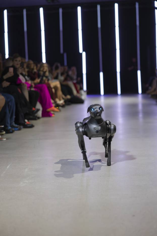 eNVy room ima novu, raskošnu kolekciju s naglaskom na sport