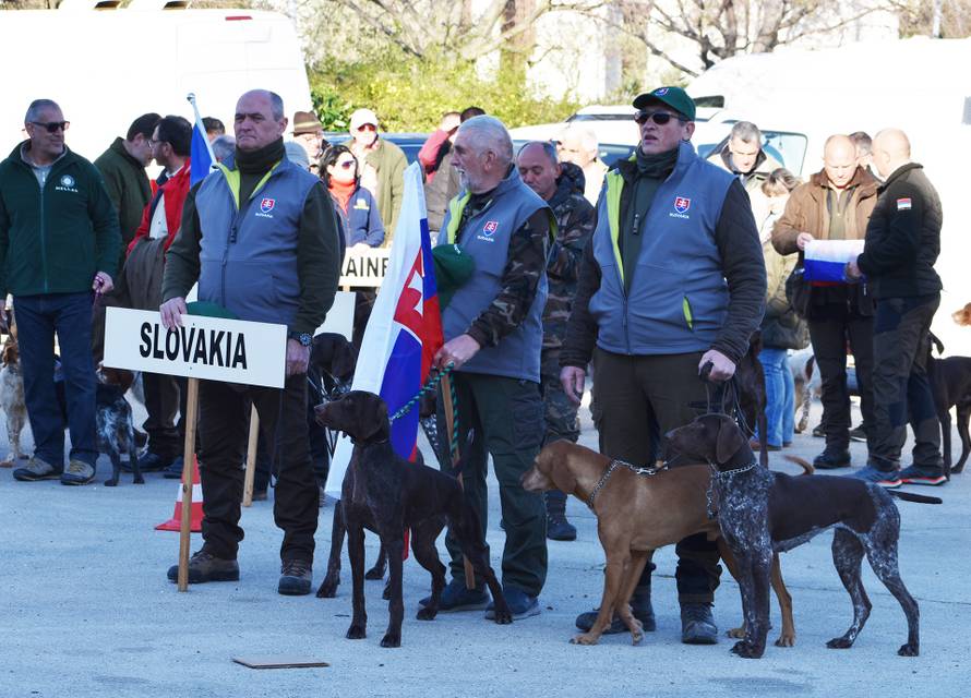 Ukrajinska himna orila se u Zadru zbog jednog - psa. Rančo je najbolji ptičar u Europi...