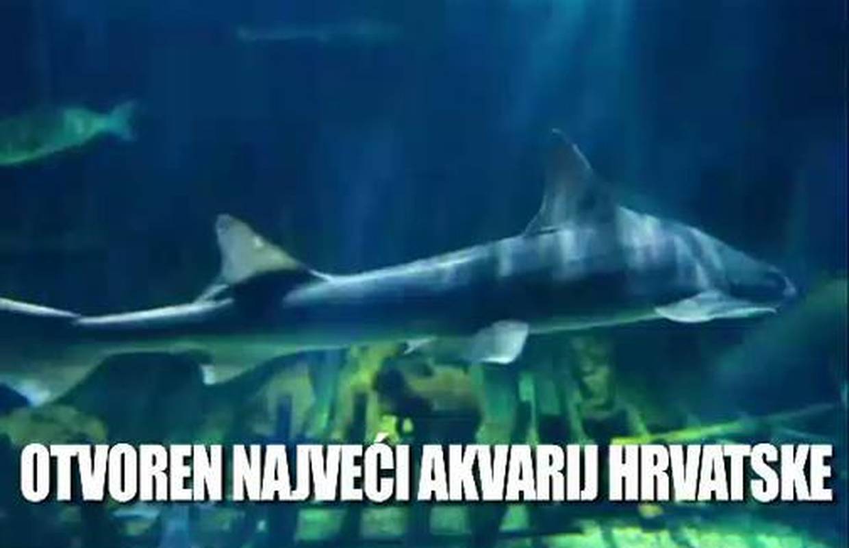 U Vranjicu otvoren najveći akvarij u Hrvatskoj!