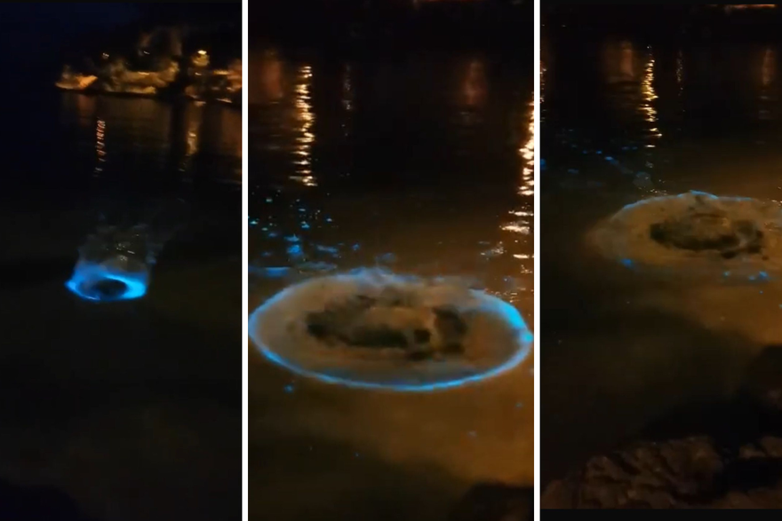 Neobičan prizor iz Pule: Bacili kamen, more poplavilo! Pitali smo stručnjake što je to