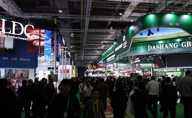 China International Import Expo in Shanghai