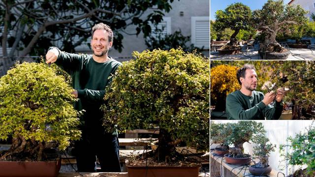 'U Kaštelima imam skriveni vrt sa 100 dalmatinskih bonsaija'