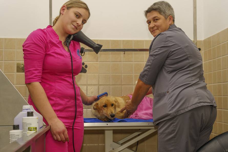 Hitna pomoć, RTG, kirurgija i dežurstvo 0-24 – evo gdje ljubimci imaju potpunu njegu