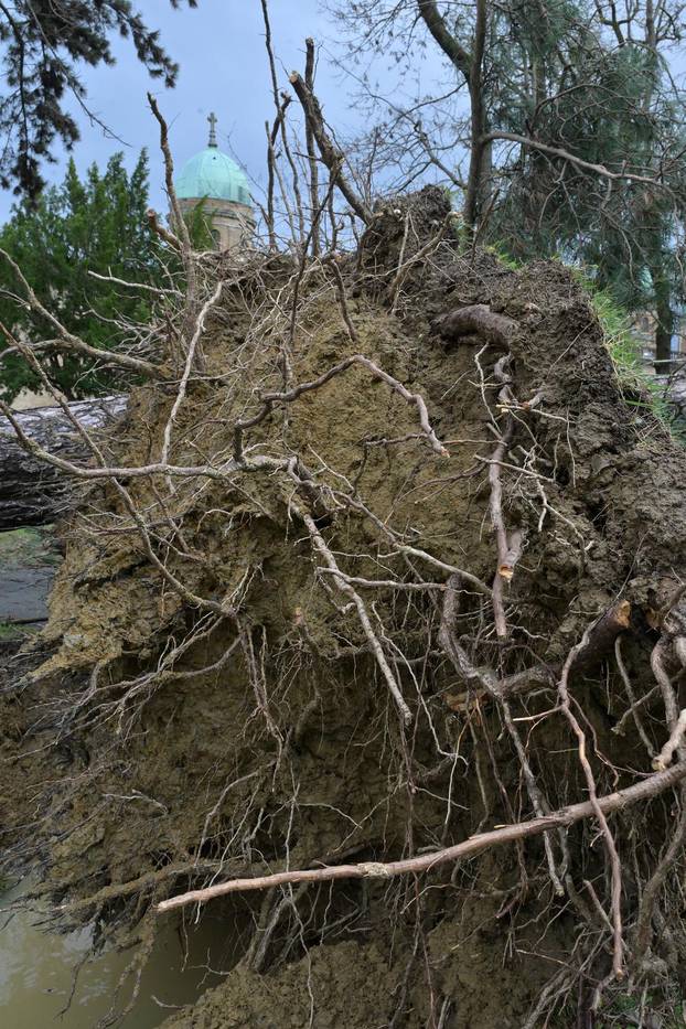 Zagreb: U nevremenu teško  oštećeno gradsko groblje Mirogoj