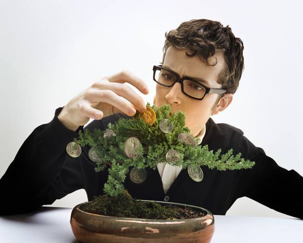 Young man tending bonsai tree with coins 