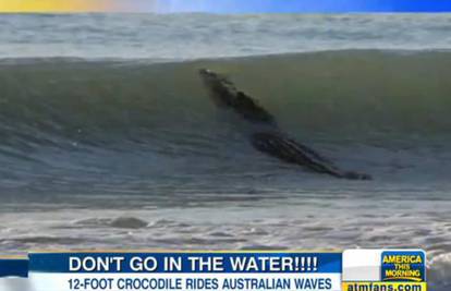 Ispraznili plažu: Krokodil od 4 metra je malo 'surfao' u moru