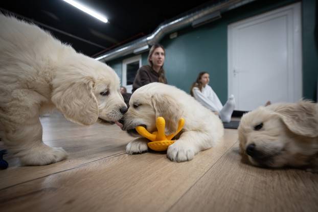 24SATA Paw Yoga, inovativni koncept joge koji je stigao u Hrvatsku