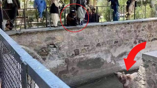 Pojavila se fotografija na kojoj taliban navodno puškom cilja medvjeda u kabulskom ZOO-u