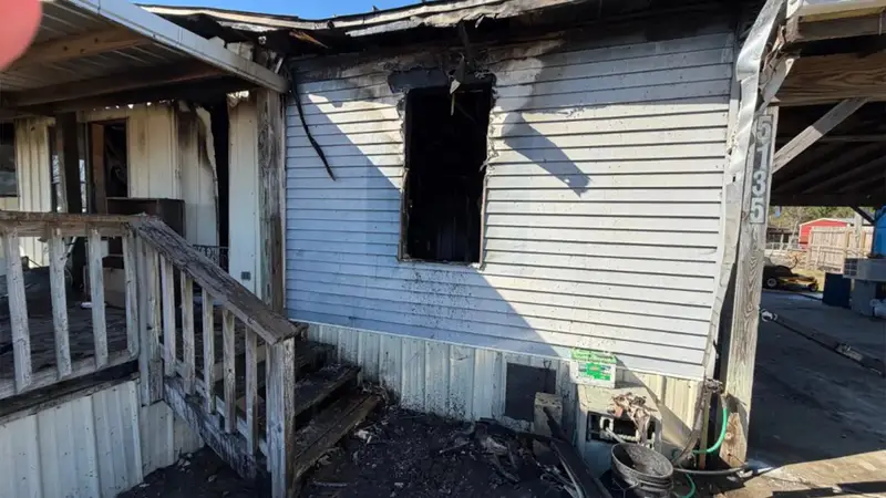 Drama na Floridi: Vjeverica se igrala s kablovima, izazvala požar i zapalila obiteljsku kuću