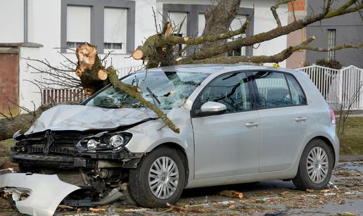 Užas u Trnjanima: Stablo palo na auto u vožnji i smrskalo ga!