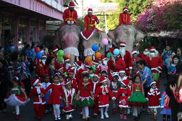 Elephants, teachers and students dressed in Santa Claus costumes parade during Christmas celebrations at Jirasart school in Ayutthaya