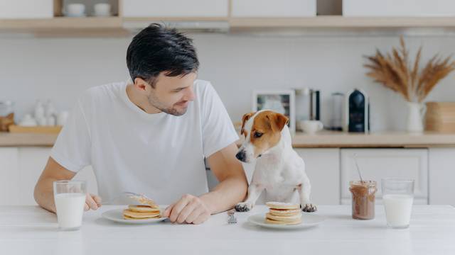 Veterinarka otkrila što psu ne smijete davati za jelo: 'Budite oprezni i sa kuhanim kostima'