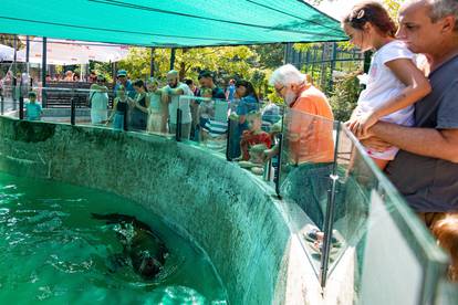 Pogledajte kako izgleda ljeto u zagrebačkom Zoološkom vrtu