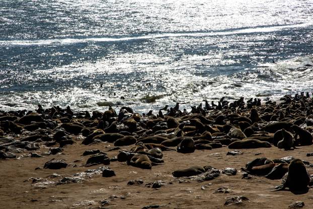 FOTO Nije umjetna inteligencija! Najnevjerojatnije plaže svijeta