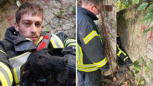 Gdje drugi ne bi stavili ruku, on se cijeli uvukao: Vatrogasac iz sićušnog procjepa spasio psića