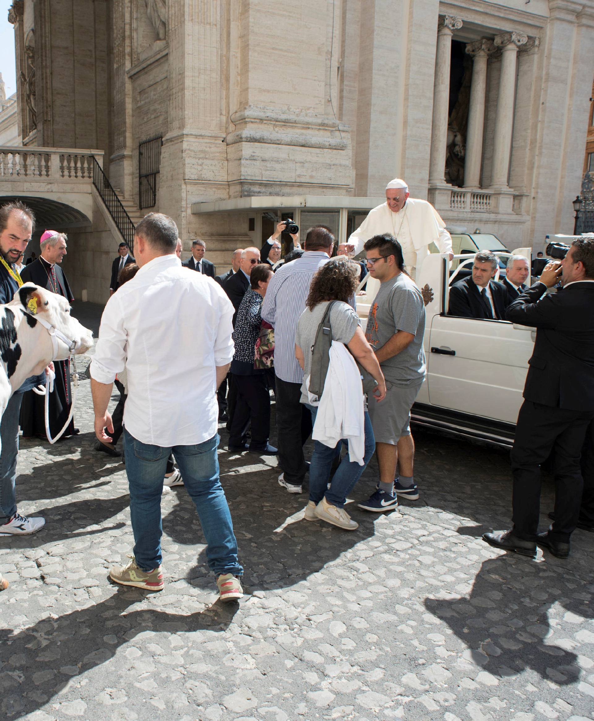 Pope Francis is presented with a cow before the general audience in Saint Peter's Square