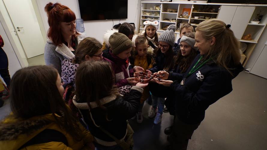 Božićno iznenađenje: Učenici iz Slavonije prvi put u Zoološkom
