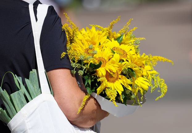 Zagreb: Gradska svakodnevica u središtu grada
