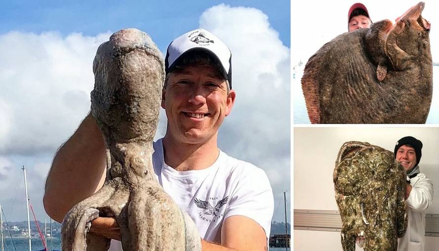 Majstor za velike ulove: Nakon riba upecao divovsku hobotnicu