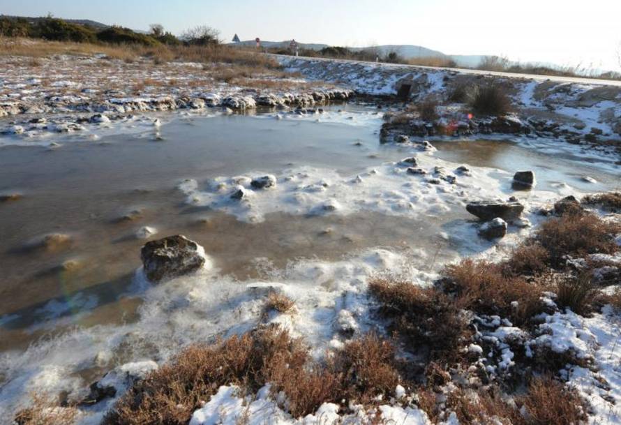 Hrvoje Jelavić/Pixsell