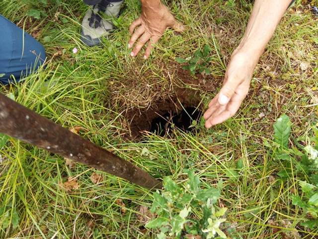 Otvorila se zemlja u Sinju: Iz uske jame GSS-ovci spasili jare