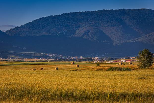 Ljetno poslijepodne na Kupreškoj  visoravni