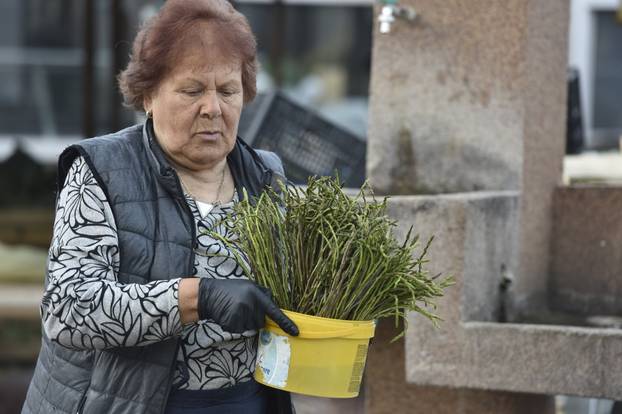 Šibenik: Subotnje jutro na gradskoj tržnici