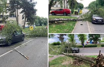Vjetar ruši stabla u Zagrebu: 'Palo mi je pred očima, moglo je i na mene. Vozač auta je dobro'