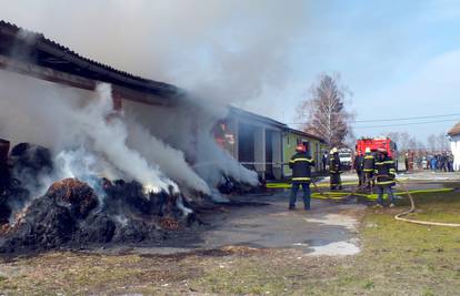 Planulo 120 tona sijena i slame, šteta oko 500.000 kuna