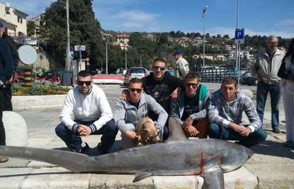 Ribari ispred Voloskog uhvatili morskog psa teškog 130 kila