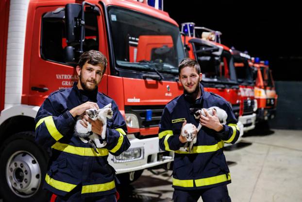 Vrgorac: Vatrogasci spasili 4 mačiča iz šahta gdje su ih pronašli ostavljene