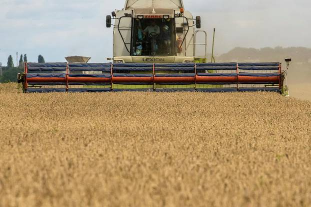 FILE PHOTO: Wheat harvesting in Kyiv region amid Russia's attack on Ukraine
