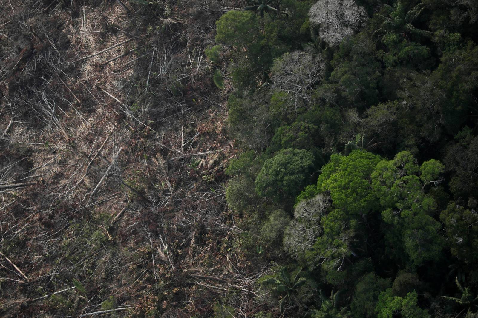 An aerial view of a deforested plot of the Amazon near Porto Velho