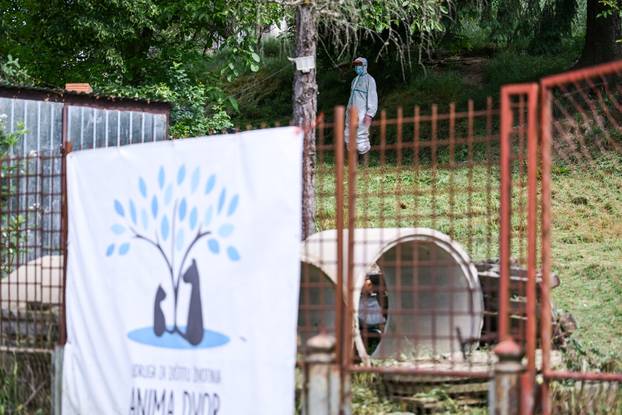 24sata Vanici: Zbog zanemarivanja uginulo više pasa