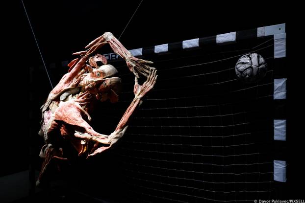 Zagreb: Konferencija uoči otvorenja izložbe seciranih ljudskih tijela Body Worlds Vital