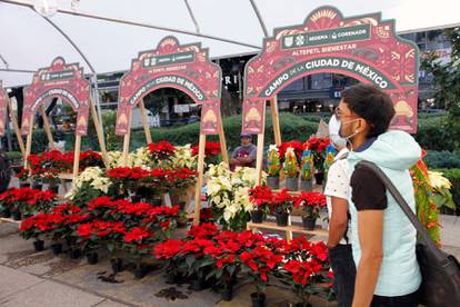 Poinsettia Flower Festival, Mexico City, Mexico - 03 Dec 2021