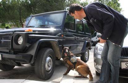 E, to je tragač: Pas Pik najbolja je "njuška" među policajcima 