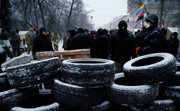 Anti-government protesters stand behind a barricade next to the Parliament building in Kiev